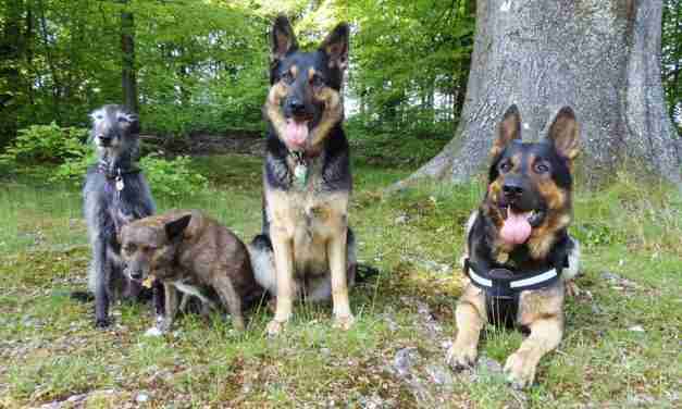 Me and the Gang